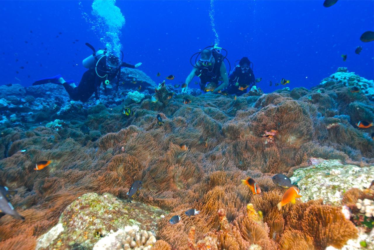 Reef Resort Vava'U Utungake Екстер'єр фото